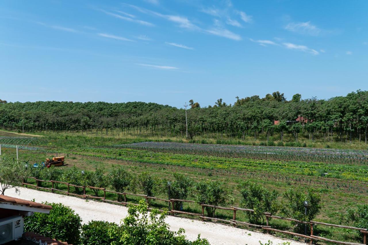 Agriturismo Il Casale Ponte Galeria Exterior photo